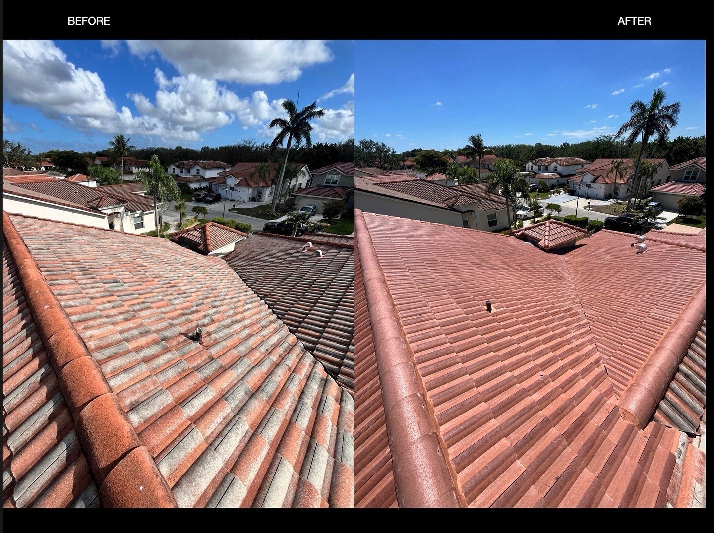 MJP Roofing project